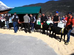 2019_ausstellung polling_282